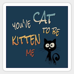 You’ve Cat To Be Kitten Me! Cool Black Sarcastic Cat Magnet